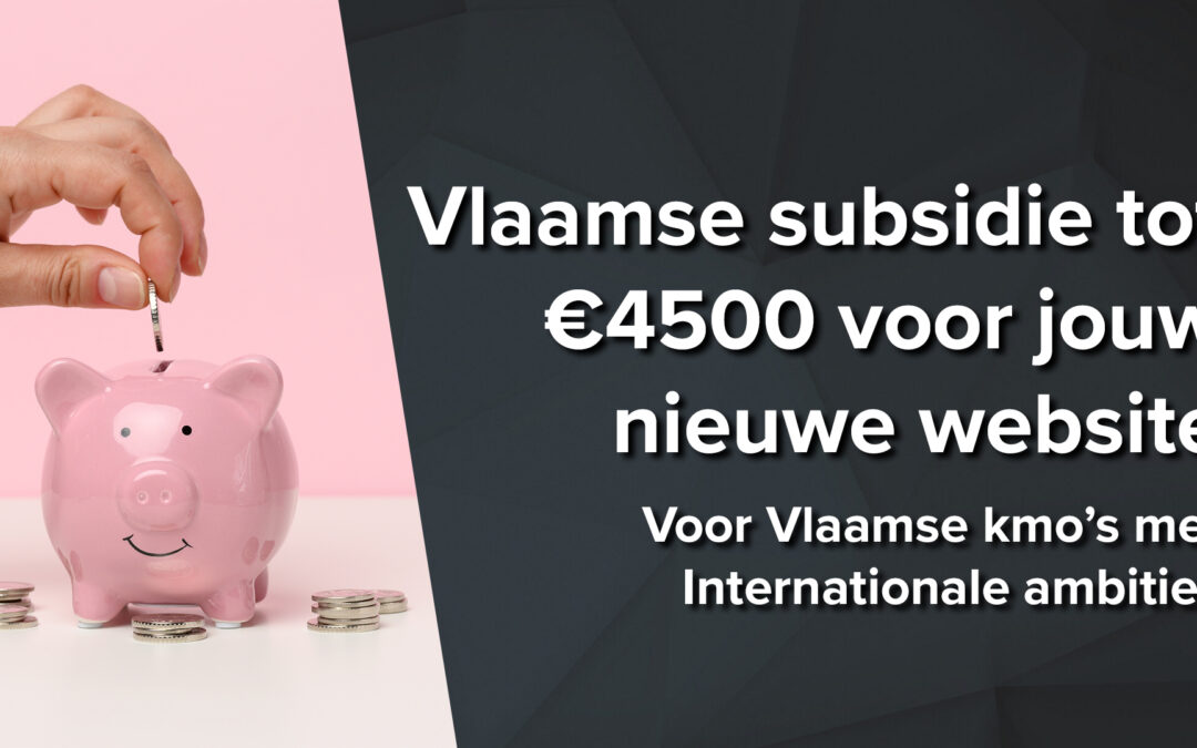 Krijg tot €4500 subsidie voor jouw meertalige website of webshop