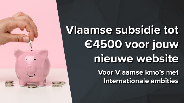 Krijg tot €4500 subsidie voor jouw meertalige website of webshop