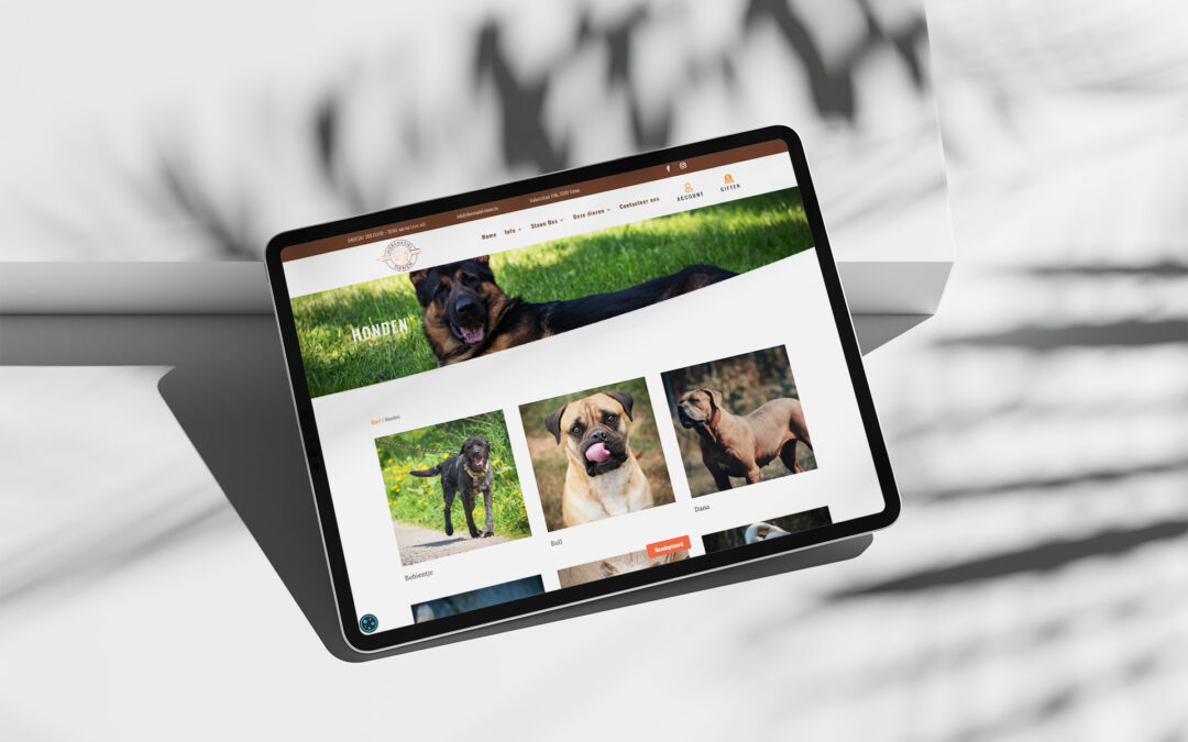 Dierenasiel Tienen – Een diervriendelijke website met donatieplatform