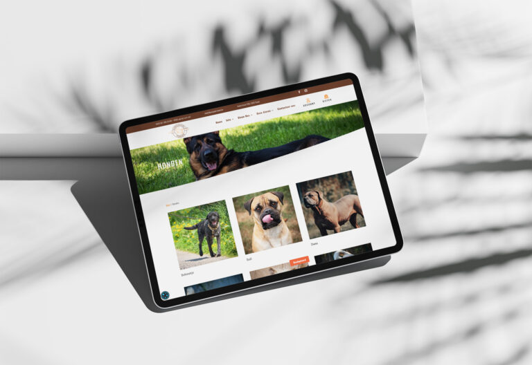 Dierenasiel Tienen – Een diervriendelijke website met donatieplatform